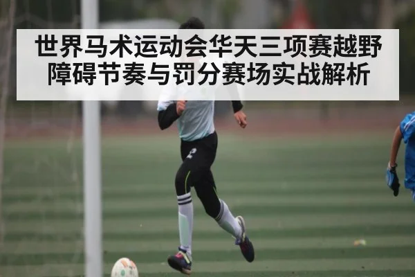 世界马术运动会华天三项赛越野障碍节奏与罚分赛场实战解析 - NBA