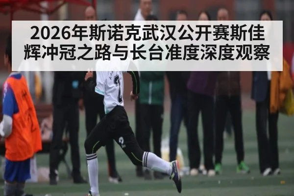 2026年斯诺克武汉公开赛斯佳辉冲冠之路与长台准度深度观察（LPL）